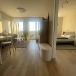 Appartement Sloneczny Z Garazem Przy Parku Kosciuszki Katowice