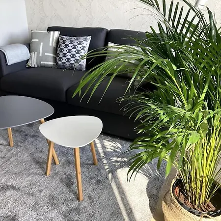 Sloneczny Z Garazem Przy Parku Kosciuszki Appartement Katowice