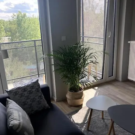 Sloneczny Z Garazem Przy Parku Kosciuszki *