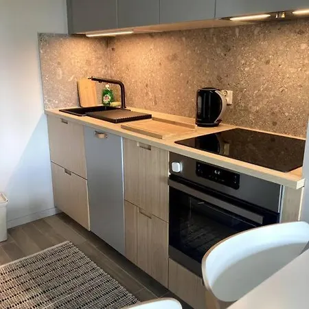 Appartement Sloneczny Z Garazem Przy Parku Kosciuszki *
