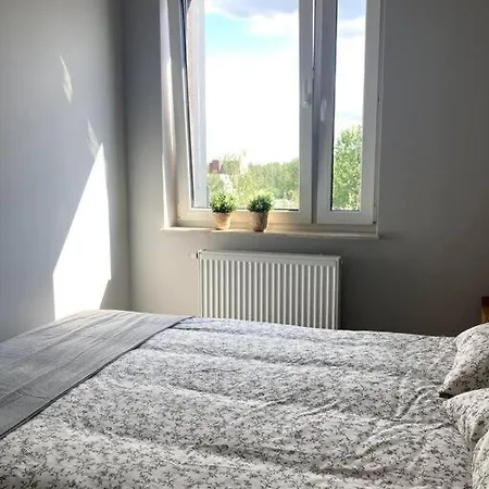Sloneczny Z Garazem Przy Parku Kosciuszki Katowice