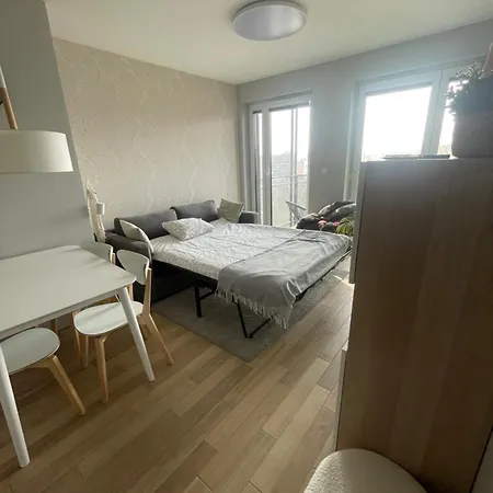 Sloneczny Z Garazem Przy Parku Kosciuszki *