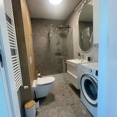 Apartment Sloneczny Z Garazem Przy Parku Kosciuszki Katowice