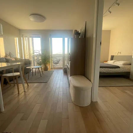 Apartament Sloneczny Z Garazem Przy Parku Kosciuszki Katowice