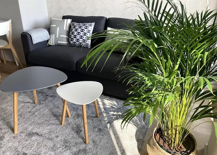 Sloneczny Z Garazem Przy Parku Kosciuszki Apartmán Katovice