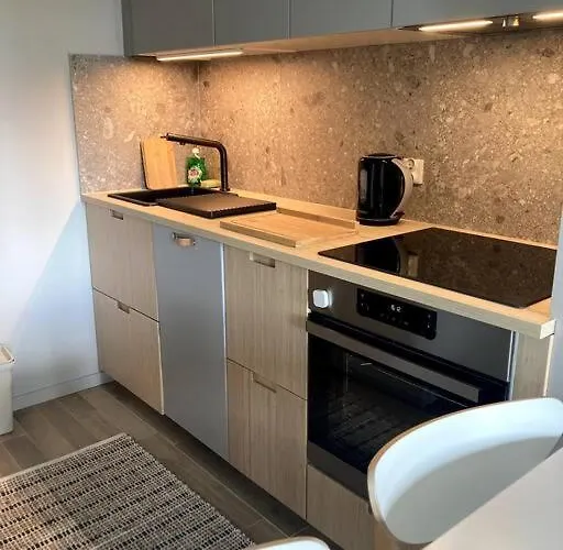 Apartmán Sloneczny Z Garazem Przy Parku Kosciuszki *