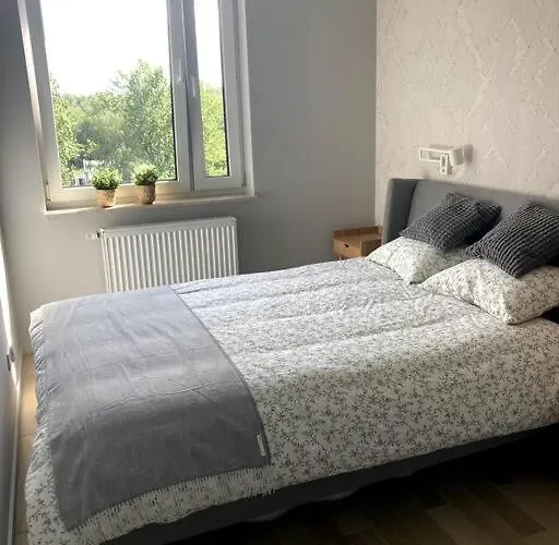 Sloneczny Z Garazem Przy Parku Kosciuszki Apartmán Katovice