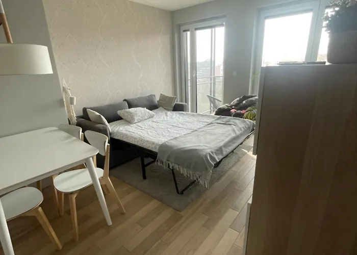 Sloneczny Z Garazem Przy Parku Kosciuszki *