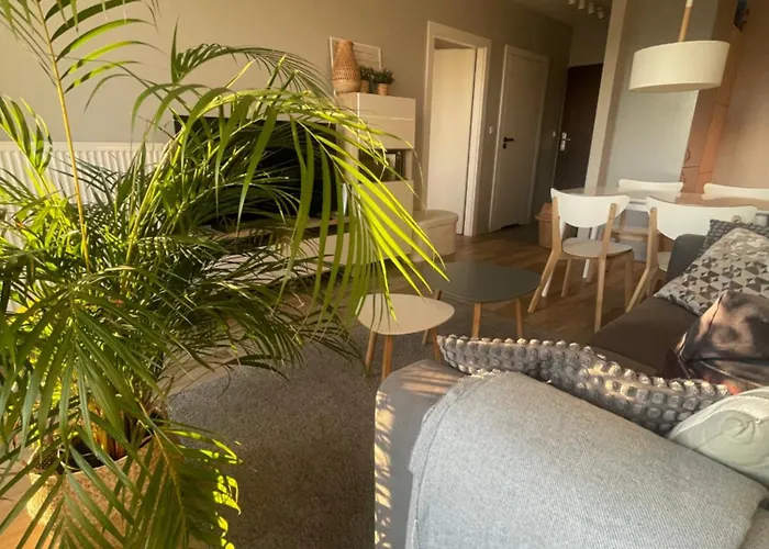 Sloneczny Z Garazem Przy Parku Kosciuszki Katowice